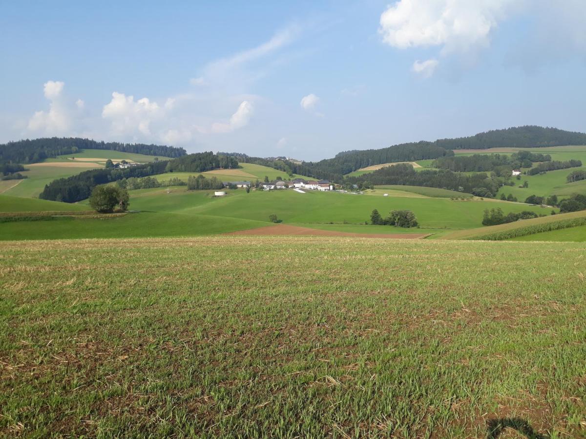 Ferienwohnung-muehlviertel Oepping