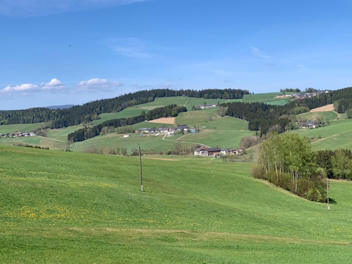 Apartament Ferienwohnung-muehlviertel